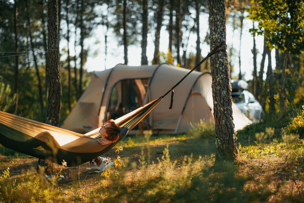 Camping-dog-friendly-scaled-1024x683